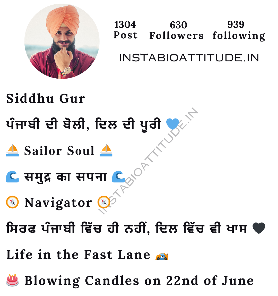 Best Punjabi bio for Instagram