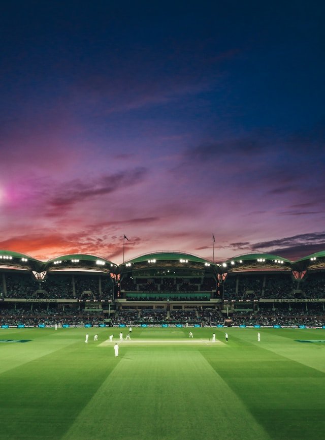 Cricket Lover Instagram Bio For Girls